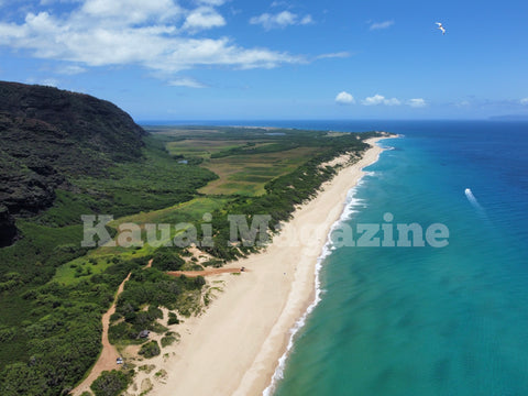 Kauai Digital Photo - Polihale Beach From Above