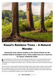 Kauai Magazine - Spring 2024 Digital Edition